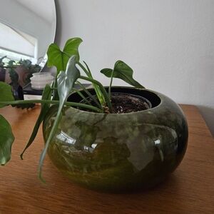 vintage speckled drip glaze retro olive boho hippie green ceramic art plant bowl